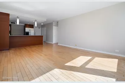 30 E Elm Street #14E, Chicago, IL 60611 - Photo 6