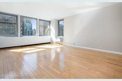 30 E Elm Street #14E, Chicago, IL 60611 - Photo 4