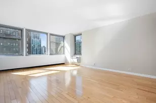 30 E Elm St, Chicago, IL 60611 - Photo 4