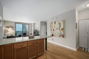 1101 S State St, Chicago, IL 60605 - Photo 10