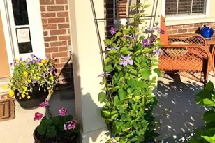 1616 Stanton Ln, Plainfield, IL 60586 - Photo 32