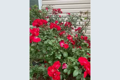 1616 Stanton Lane, Plainfield, IL 60586 - Photo 34