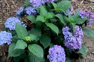 1616 Stanton Ln, Plainfield, IL 60586 - Photo 30