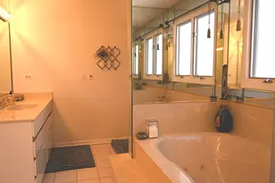 3407 Springdale Ave, Glenview, IL 60025 - Photo 32