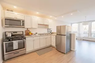 1401 E 55th St, Chicago, IL 60615 - Photo 4