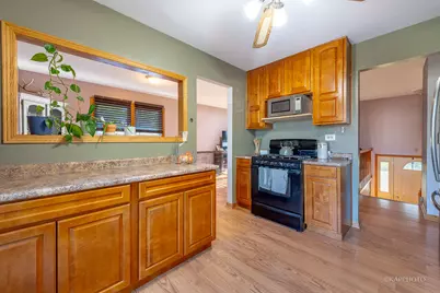 20052 S Sycamore Drive, Frankfort, IL 60423 - Photo 8