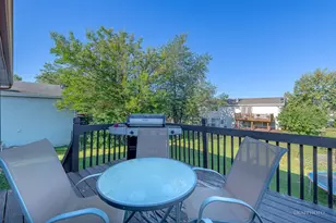 20052 S Sycamore Dr, Frankfort, IL 60423 - Photo 26