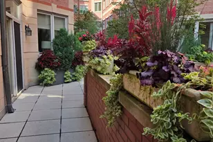 1430 N La Salle Dr, Chicago, IL 60610 - Photo 2