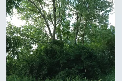 15450 W Purley Court, Homer Glen, IL 60491 - Photo 6