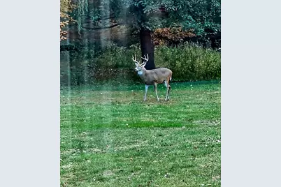 1307 Cross Creek Road, Mahomet, IL 61853 - Photo 64