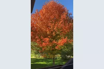 117 Fox Trot, Dixon, IL 61021 - Photo 56