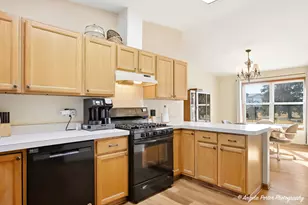 509 Balmoral Ct, Grayslake, IL 60030 - Photo 10