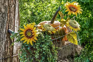 11901 S 92nd Ave, Palos Park, IL 60464 - Photo 10