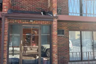 6323 W 64th Pl, Chicago, IL 60638 - Photo 18