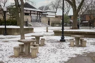 1706 N Fern Ct, Chicago, IL 60614 - Photo 30