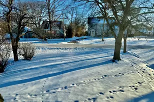 619 41st St, Downers Grove, IL 60515 - Photo 16