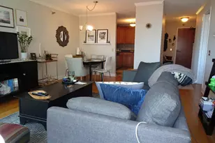 480 N McClurg Ct, Chicago, IL 60611 - Photo 6