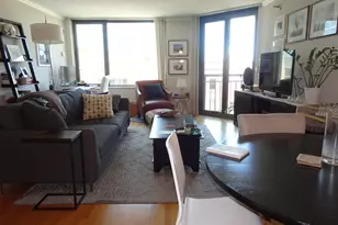 480 N McClurg Ct, Chicago, IL 60611 - Photo 8