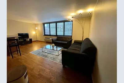 1221 N Dearborn Street #804S, Chicago, IL 60610 - Photo 10