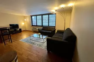 1221 N Dearborn St, Chicago, IL 60610 - Photo 10