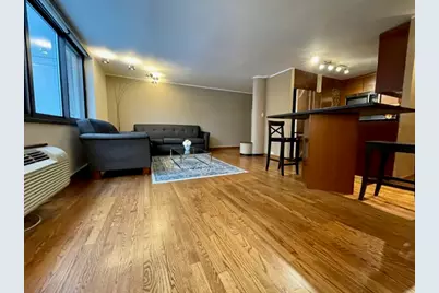 1221 N Dearborn Street #804S, Chicago, IL 60610 - Photo 6