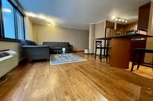 1221 N Dearborn St, Chicago, IL 60610 - Photo 6