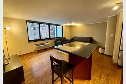 1221 N Dearborn Street #804S, Chicago, IL 60610 - Photo 16