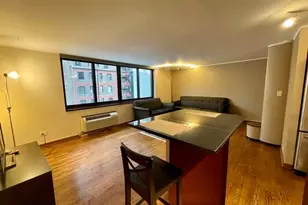 1221 N Dearborn St, Chicago, IL 60610 - Photo 16