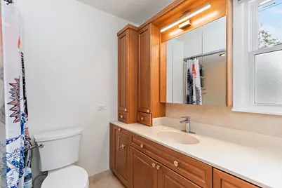 925 S Chestnut Avenue, Arlington Heights, IL 60005 - Photo 12