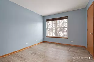 10584 Scott Dr, Huntley, IL 60142 - Photo 22