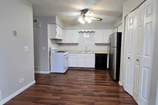 1005 Manchester Ct, South Elgin, IL 60177 - Photo 4