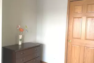 864 Genesee Dr, Naperville, IL 60563 - Photo 18