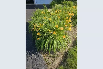 4209 Belson Lane, Crystal Lake, IL 60014 - Photo 62