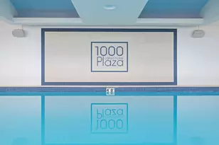 1000 N Lake Shore Plaza, Chicago, IL 60611 - Photo 34