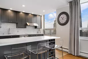 1000 N Lake Shore Plaza, Chicago, IL 60611 - Photo 10