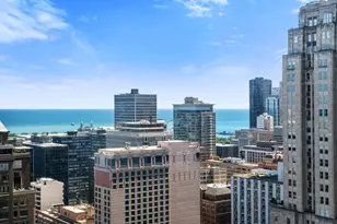 1000 N Lake Shore Plaza, Chicago, IL 60611 - Photo 38
