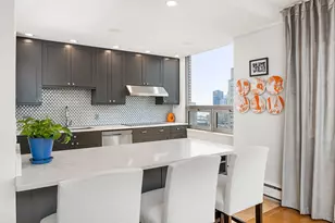 1000 N Lake Shore Plaza, Chicago, IL 60611 - Photo 24