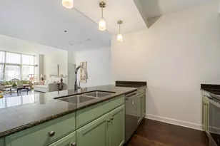 1335 S Prairie Ave, Chicago, IL 60605 - Photo 10