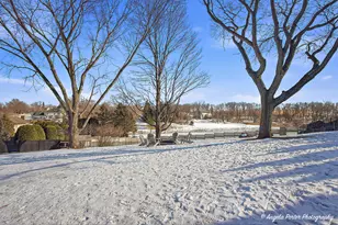 1105 Springhill Dr, Algonquin, IL 60102 - Photo 40