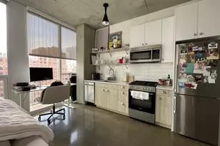 810 N Clark St, Chicago, IL 60654 - Photo 4