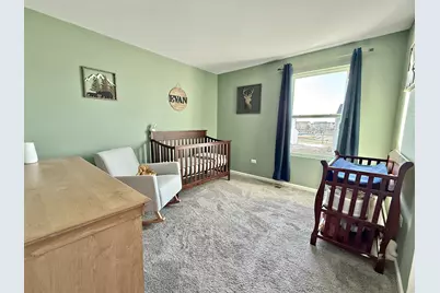 1013 Daniel Street, Plano, IL 60545 - Photo 16