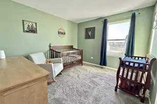 1013 Daniel St, Plano, IL 60545 - Photo 16