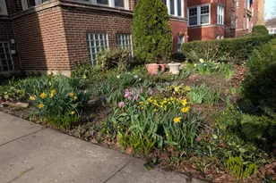 1326 W Albion Ave, Chicago, IL 60626 - Photo 30