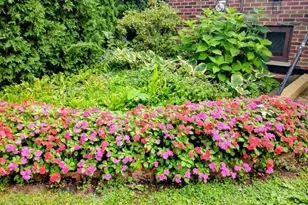 308 Sheldon Ave, Downers Grove, IL 60515 - Photo 30