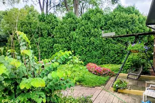 308 Sheldon Ave, Downers Grove, IL 60515 - Photo 28