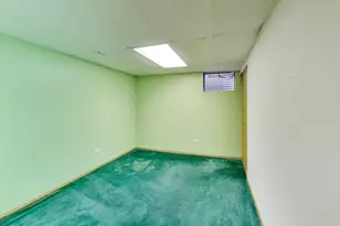 1111 Samstag Ct, Naperville, IL 60563 - Photo 46