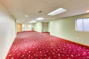 1111 Samstag Ct, Naperville, IL 60563 - Photo 42