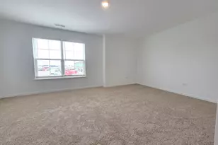 458 Hathaway Ln, Oswego, IL 60543 - Photo 20