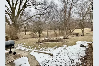 414 Pontiac Street, Tonica, IL 61370 - Photo 18