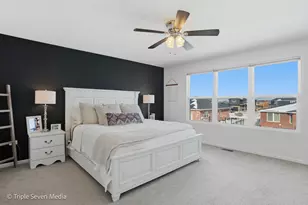 16256 W Pinto Ln, Manhattan, IL 60442 - Photo 30